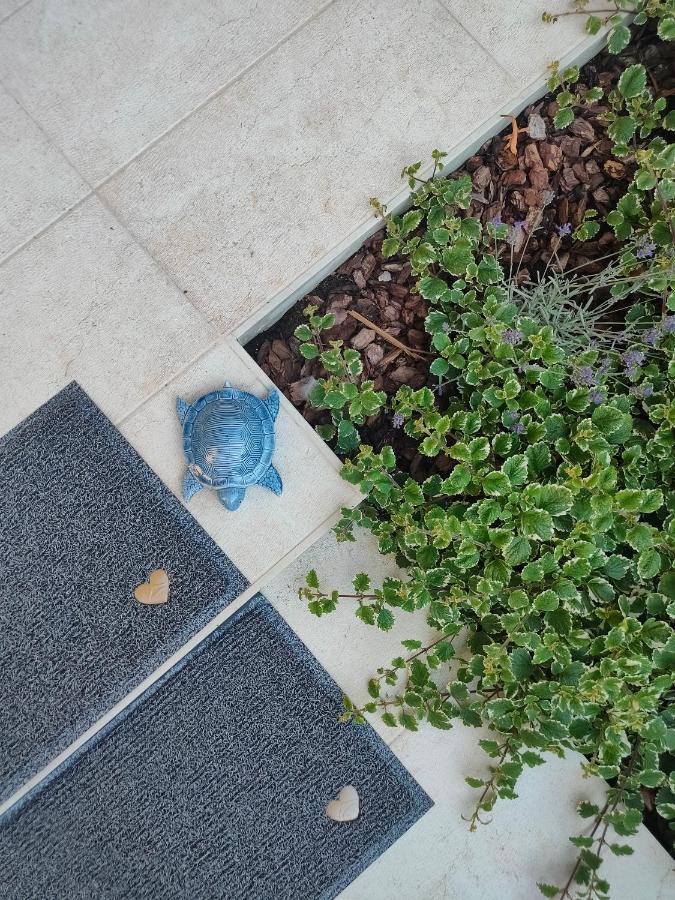 Mentana Suite Verona Esterno foto